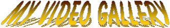 My Video Gallery