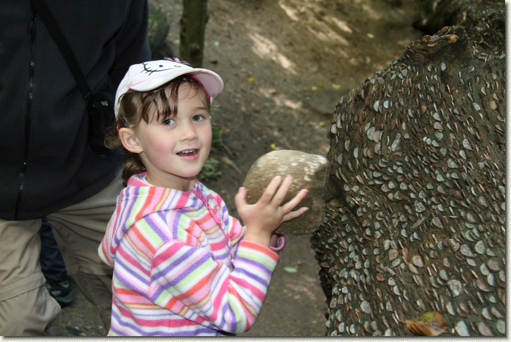 Click for the original image