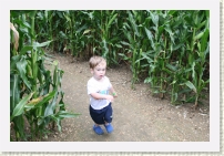 IMG_2709 * 3504 x 2336 * (1.3MB)