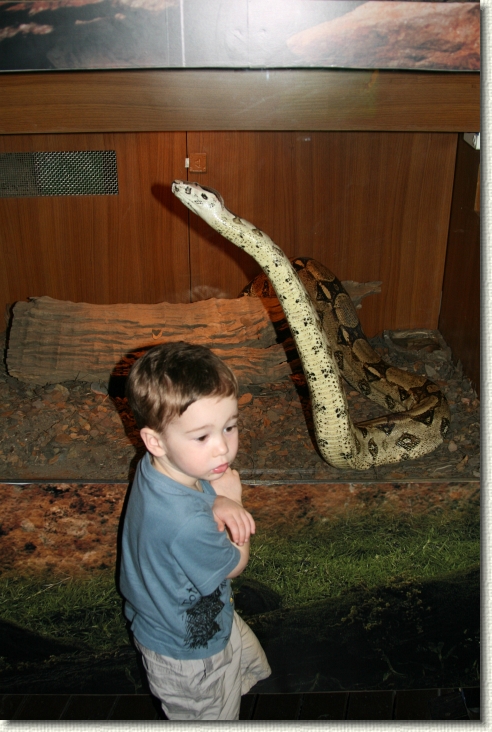 Click for the original image