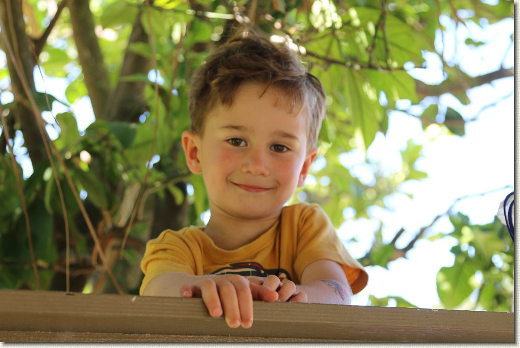 Click for the original image