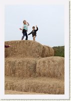 IMG_1664 * 3648 x 5472 * (3.19MB)
